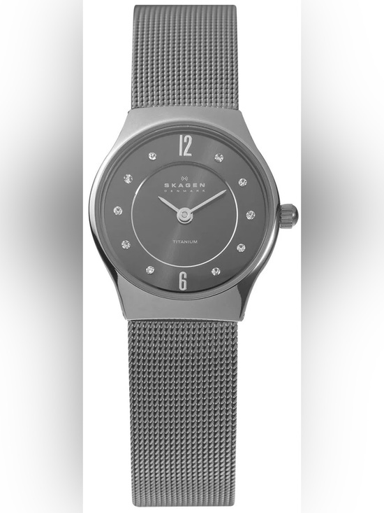Skagen Accessories - Skagen Denmark Titanium 233XSTTM Mesh Watch – Good Condition